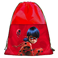 Сумка для взуття Leader "Леді Б" 46х32 см