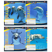 Зошит шкільний 18 аркушів лінія серія "Морське життя - дельфіни"