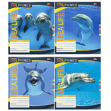 Зошит шкільний 18 аркушів лінія серія "Морське життя - дельфіни"
