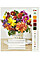 Зошит шкільний 36 аркушів клітинка серія "Квіти - палітра кольорів"